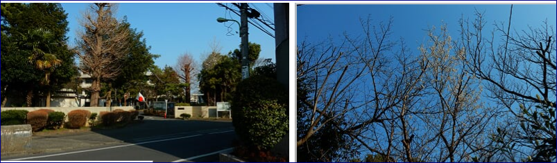 f0231709_21334822.png