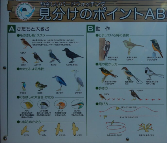 f0231709_21344713.png