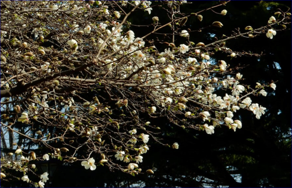 f0231709_21413614.png