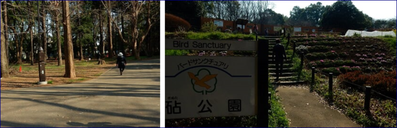f0231709_2242897.png