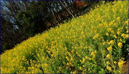 f0231709_2283489.png
