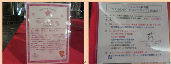 f0231709_2391672.png