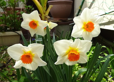 a0019212_00141550.jpeg