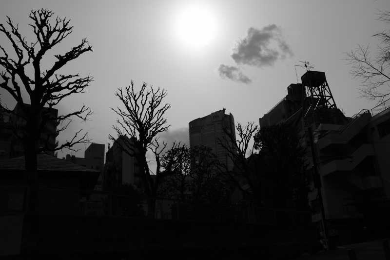 d0339617_16281118.jpg