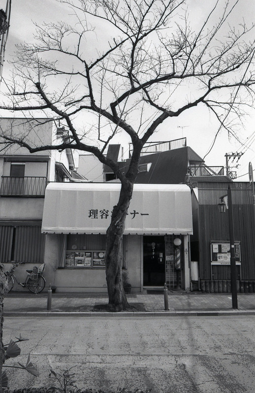 d0339617_17082228.jpg