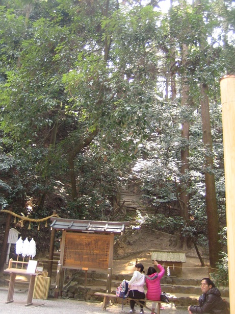 c0054118_16495132.jpg