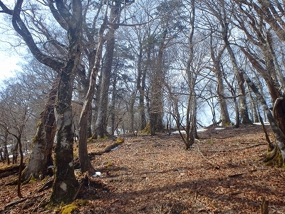 f0193521_09344702.jpg