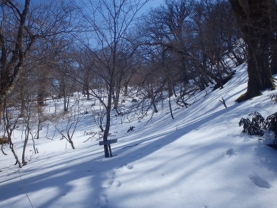 f0193521_09442272.jpg