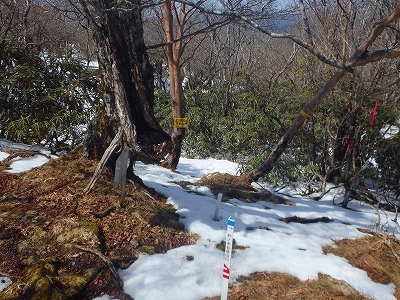 f0193521_09481065.jpg