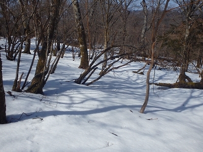 f0193521_09520509.jpg