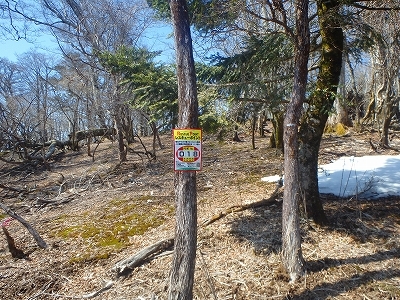 f0193521_12432633.jpg
