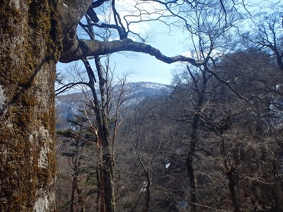f0193521_12491759.jpg