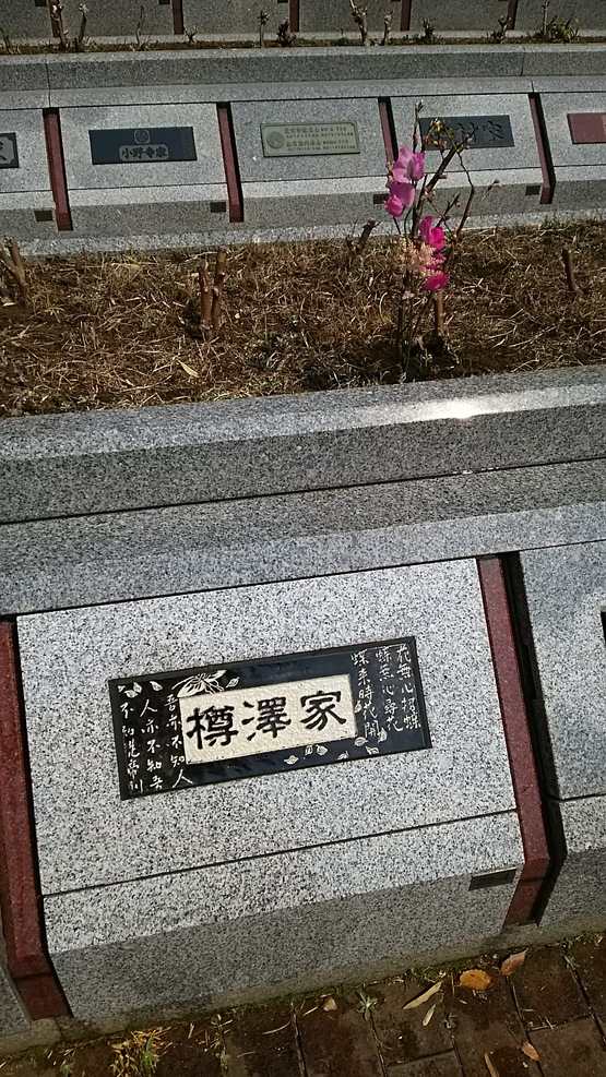 b0037323_170840.jpg