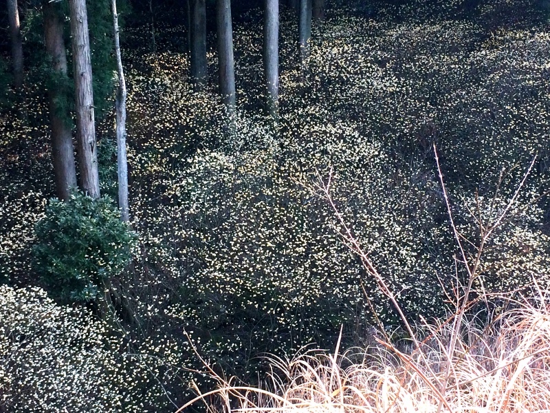 d0247023_06082691.jpg