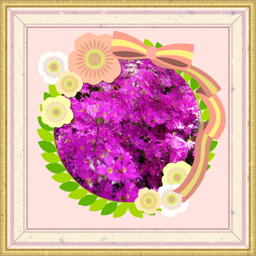 a0206332_15580195.png