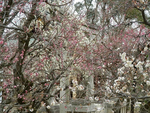 c0081032_22244627.jpg