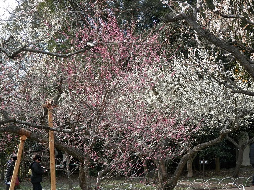 c0081032_22330760.jpg