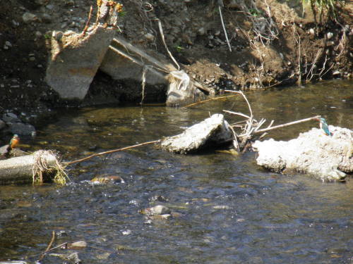 c0338136_15294205.jpg