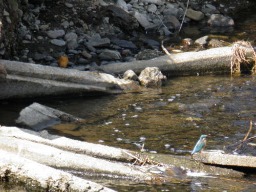 c0338136_15301312.jpg