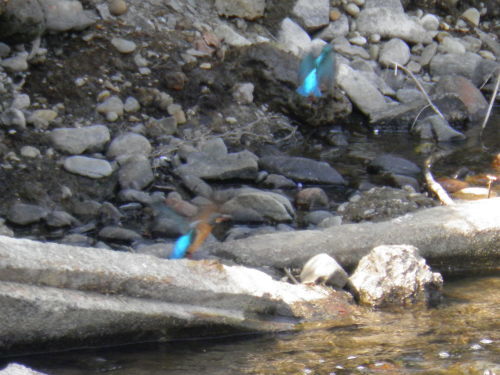 c0338136_15395299.jpg