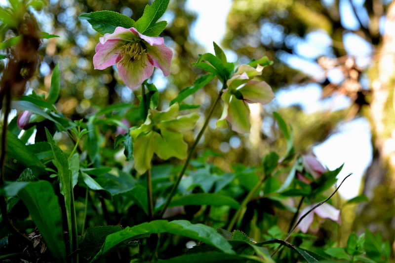 e0056537_18371815.jpg