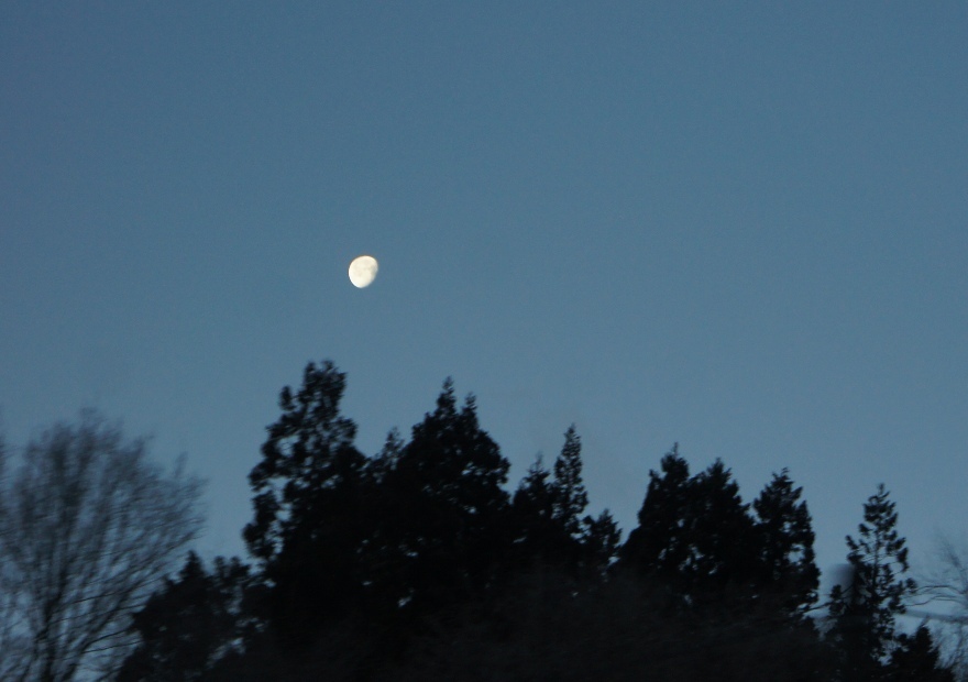 f0368538_15445533.jpg