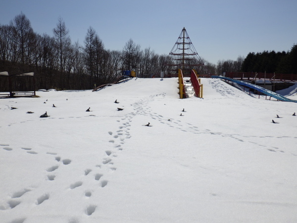 c0233141_15294495.jpg