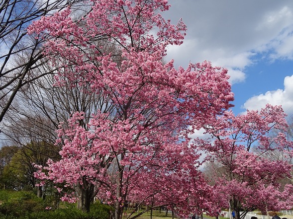 b0299042_10485926.jpg
