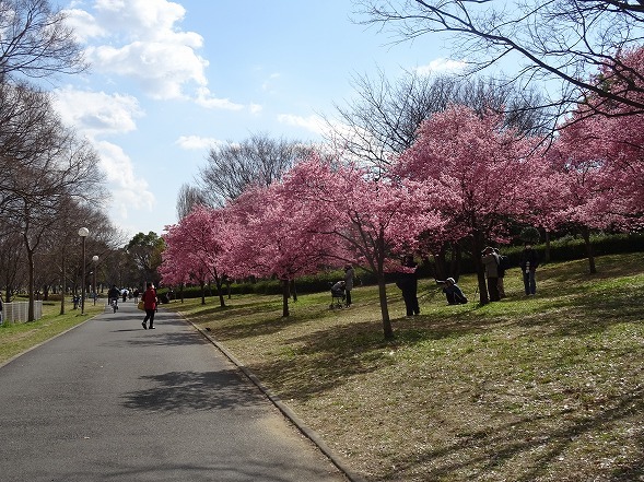b0299042_10493110.jpg