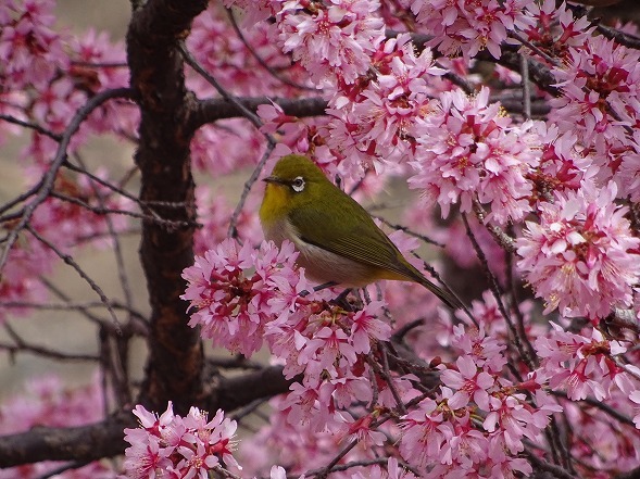 b0299042_10501000.jpg