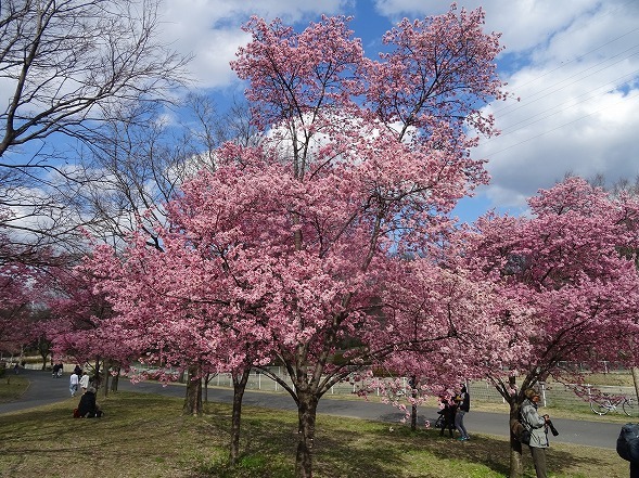 b0299042_10501909.jpg