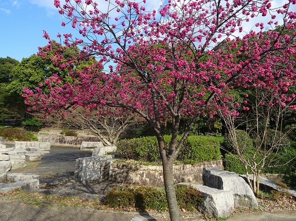 b0299042_10512521.jpg
