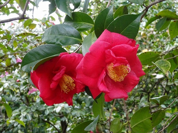 b0299042_16275100.jpg