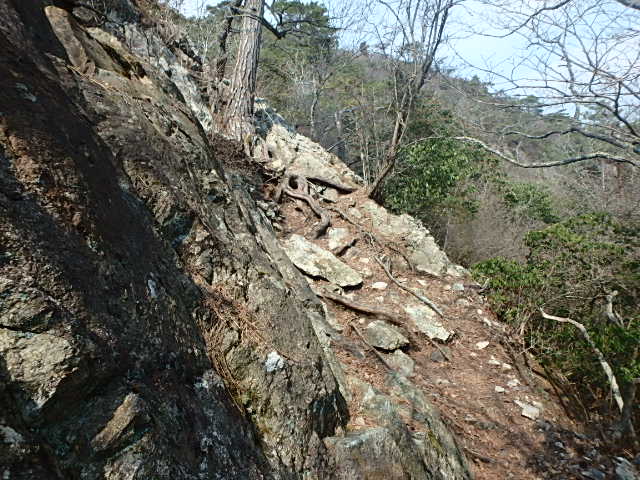 f0334143_12435744.jpg