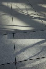 e0080345_06083280.jpg