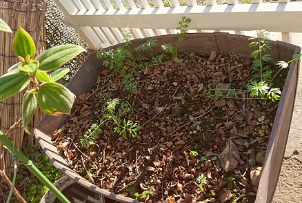f0087347_15112319.jpg