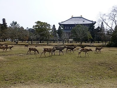 f0089748_21042392.jpg