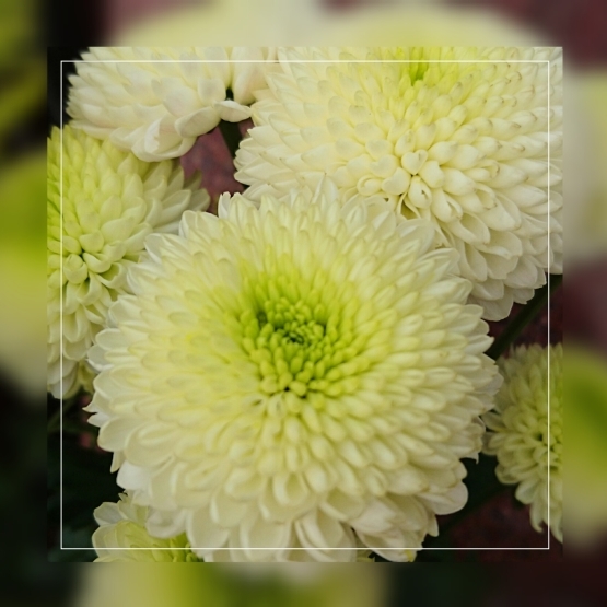d0347253_14113752.jpg