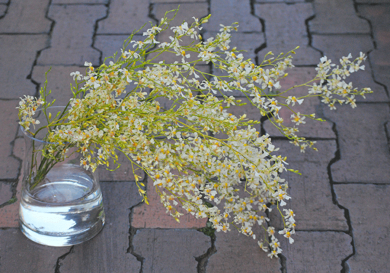 a0001354_23464940.gif