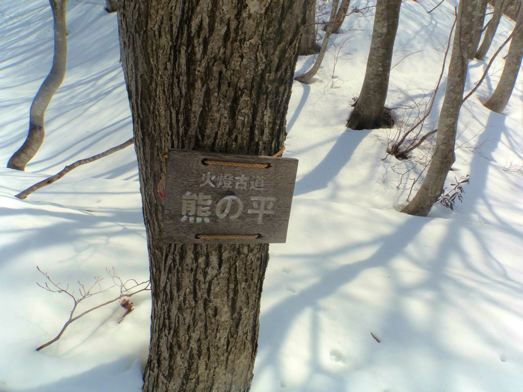 b0234354_20273697.jpg