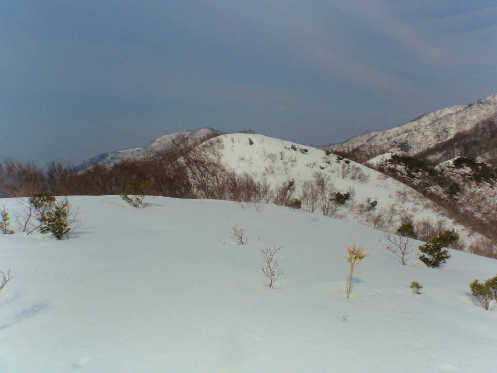 b0234354_20285382.jpg