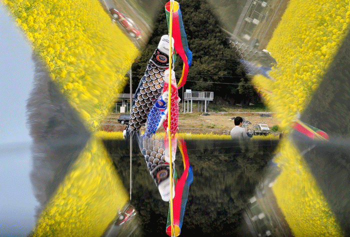 a0284558_21445270.gif