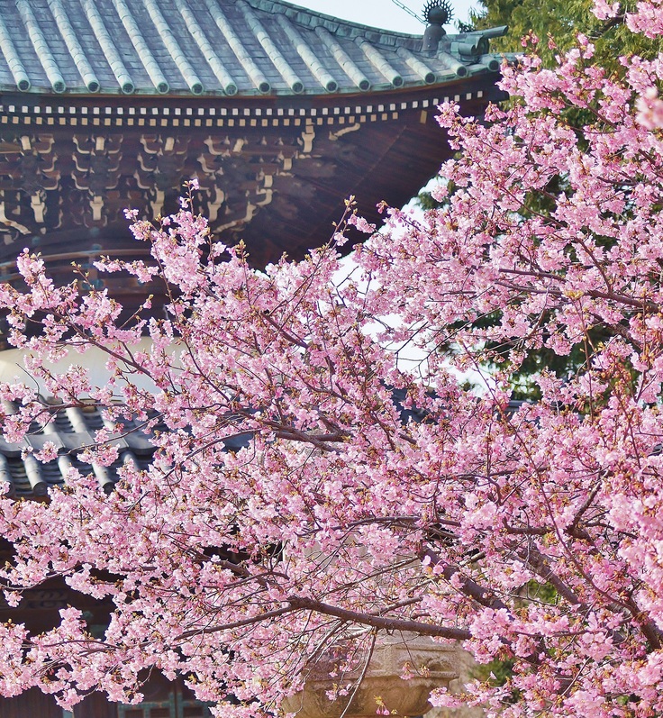 b0063958_2228529.jpg