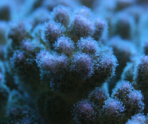 c0165758_19052679.jpg