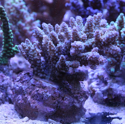 c0165758_19062440.jpg