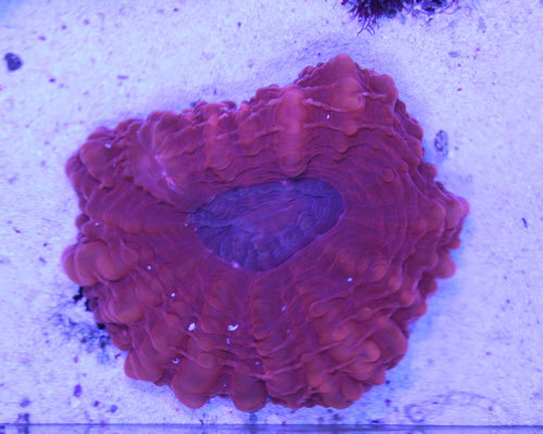 c0165758_19085947.jpg