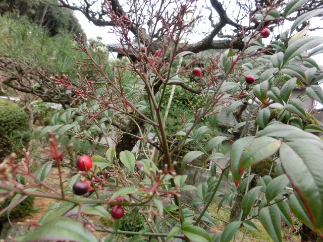 c0328559_16370420.jpg