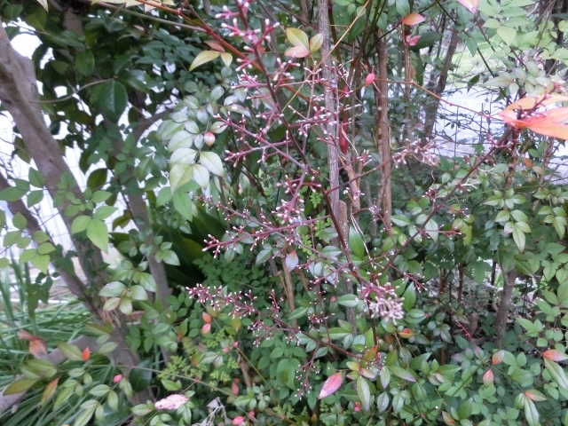 c0328559_16371461.jpg