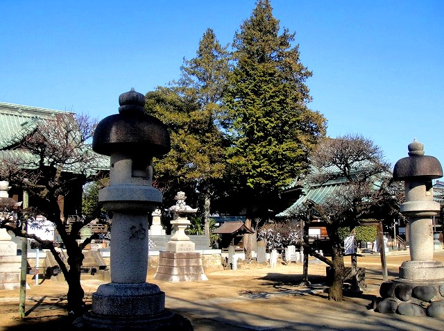 c0119160_9433138.jpg