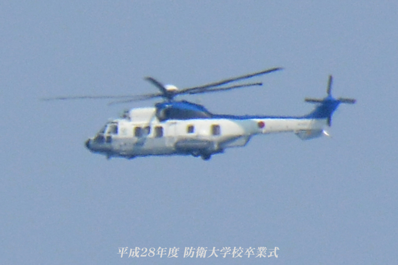 d0251161_10165046.jpg